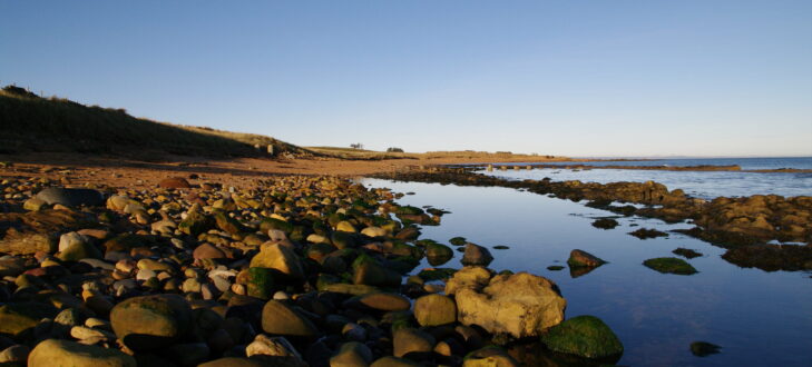 View of a rocky area of the Kingsbarns beach at low tide.