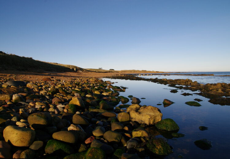 View of a rocky area of the Kingsbarns beach at low tide.