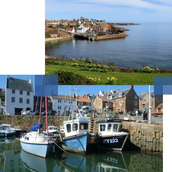 Crail